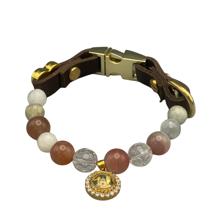 Canine Luxe Shop S · kleine Hunde (24-29 cm)